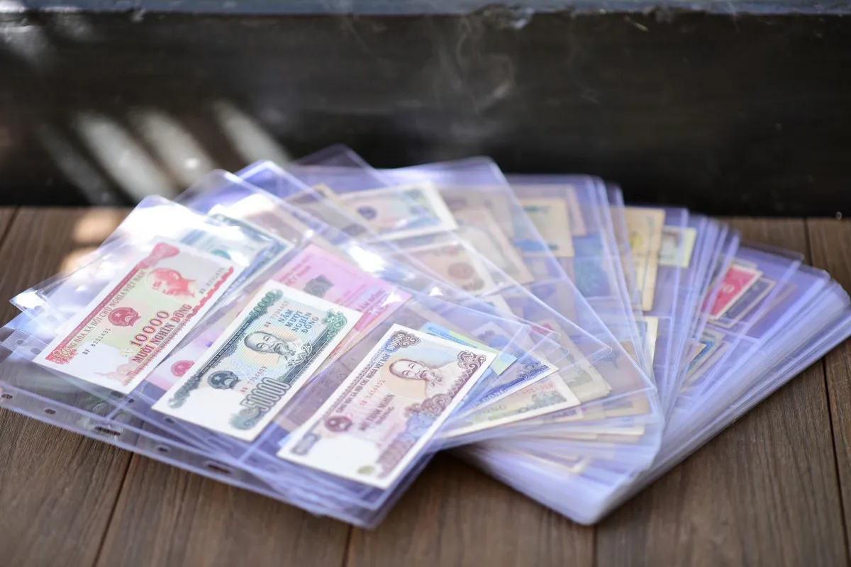 A diverse collection of international banknotes in protective sleeves, highlighting various world currencies.